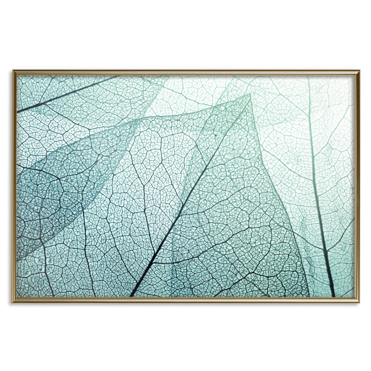Wall Poster Macro Flora - abstract translucent turquoise leaf 129836 additionalImage 17
