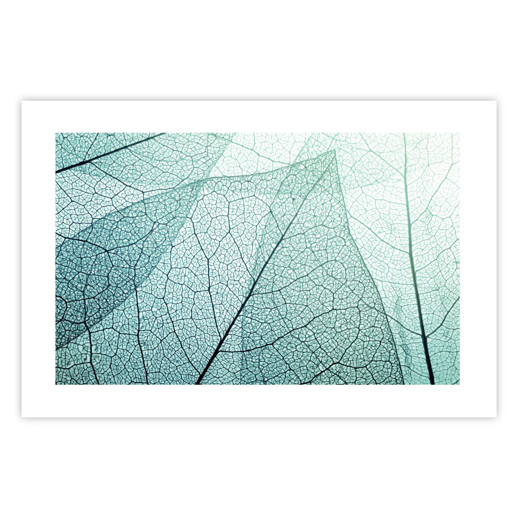 Wall Poster Macro Flora - abstract translucent turquoise leaf 129836 additionalImage 25