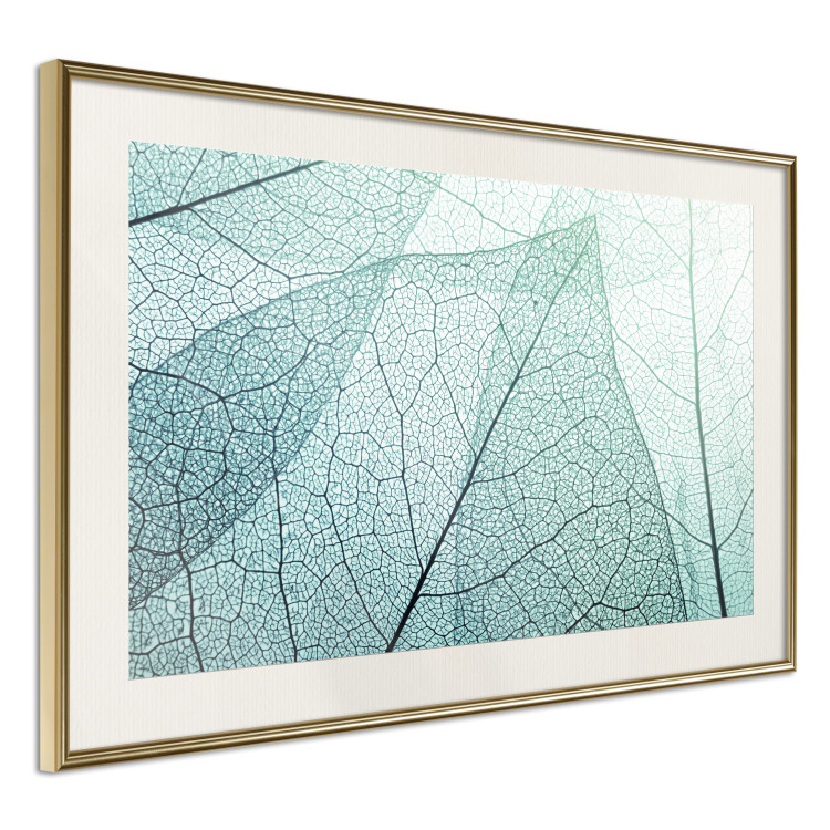 Wall Poster Macro Flora - abstract translucent turquoise leaf 129836 additionalImage 3
