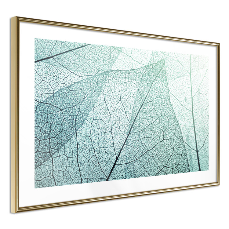 Wall Poster Macro Flora - abstract translucent turquoise leaf 129836 additionalImage 7