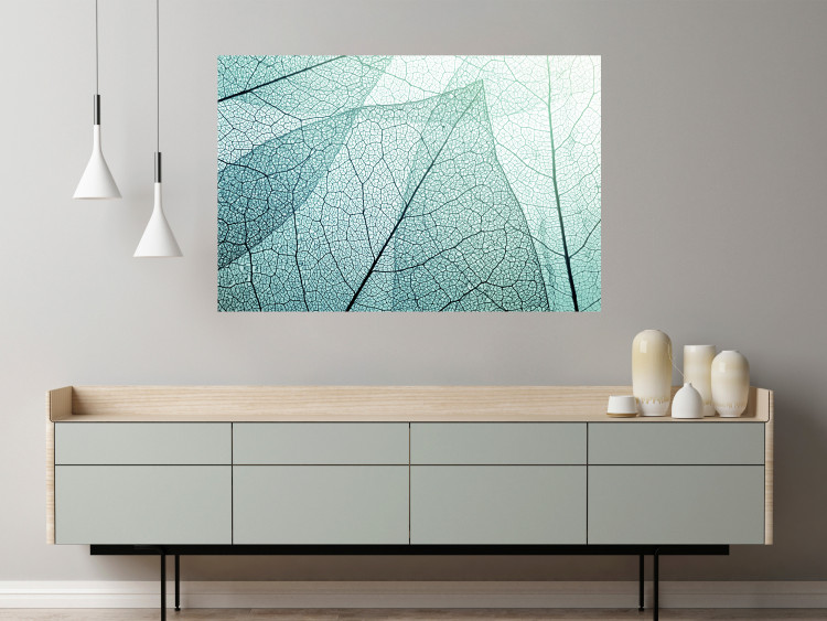 Wall Poster Macro Flora - abstract translucent turquoise leaf 129836 additionalImage 4