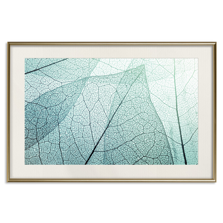 Wall Poster Macro Flora - abstract translucent turquoise leaf 129836 additionalImage 20
