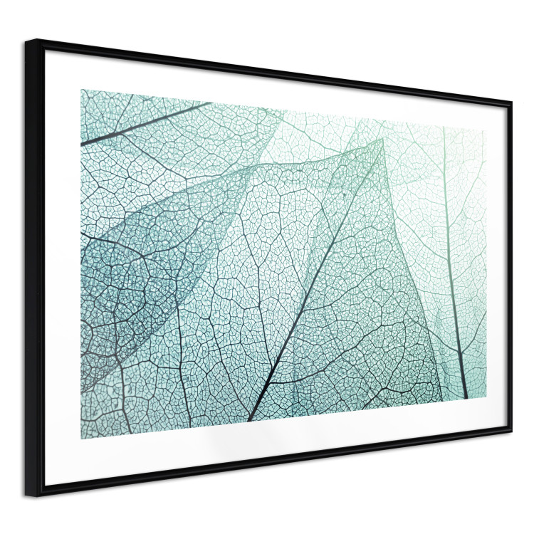 Wall Poster Macro Flora - abstract translucent turquoise leaf 129836 additionalImage 8