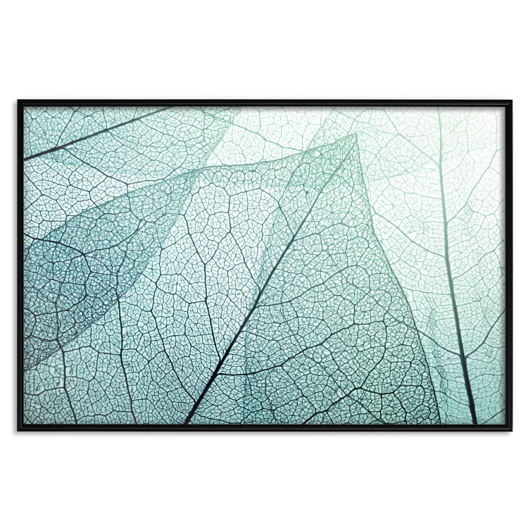Wall Poster Macro Flora - abstract translucent turquoise leaf 129836 additionalImage 16