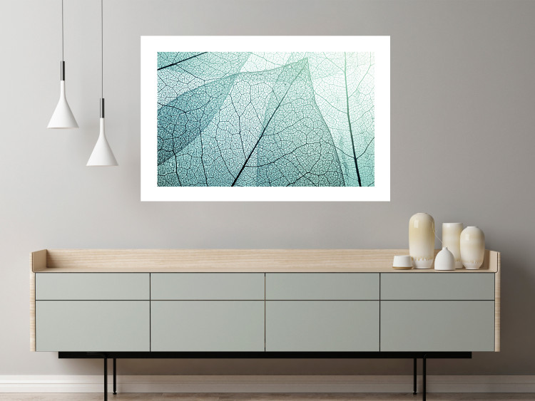 Wall Poster Macro Flora - abstract translucent turquoise leaf 129836 additionalImage 5