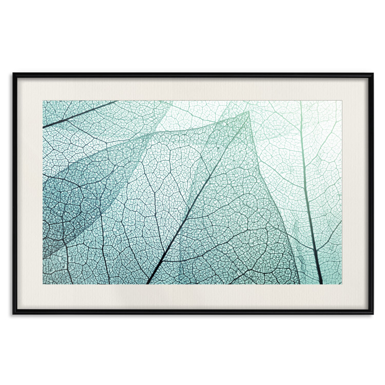 Wall Poster Macro Flora - abstract translucent turquoise leaf 129836 additionalImage 19