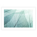 Wall Poster Macro Flora - abstract translucent turquoise leaf 129836 additionalThumb 25