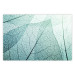 Wall Poster Macro Flora - abstract translucent turquoise leaf 129836