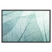 Wall Poster Macro Flora - abstract translucent turquoise leaf 129836 additionalThumb 18