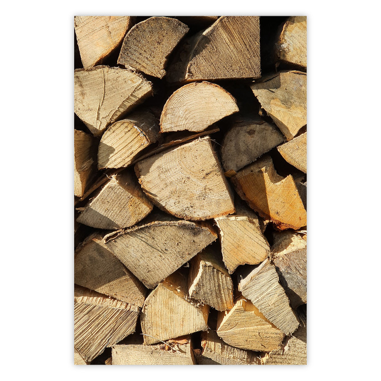 Poster Beauty of Wood - arranged composition of chopped wood into various shapes 131836
