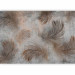 Wall Mural Breeze - bird feather motif on greyish concrete texture 138236 additionalThumb 5