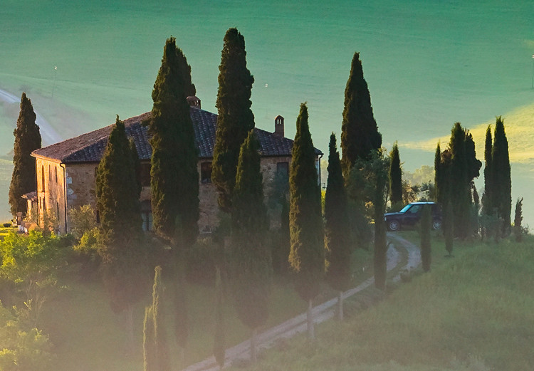 Canvas Print Tuscany Landscape - Photo of Green Fields at Sunrise 149836 additionalImage 5