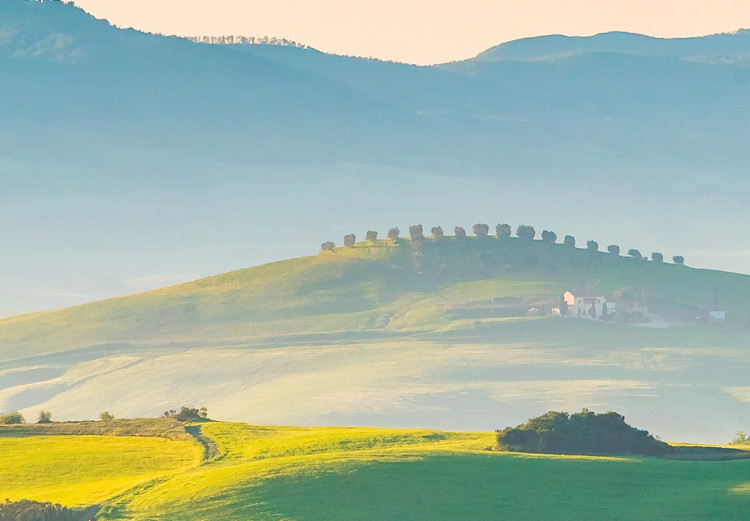 Canvas Print Tuscany Landscape - Photo of Green Fields at Sunrise 149836 additionalImage 4