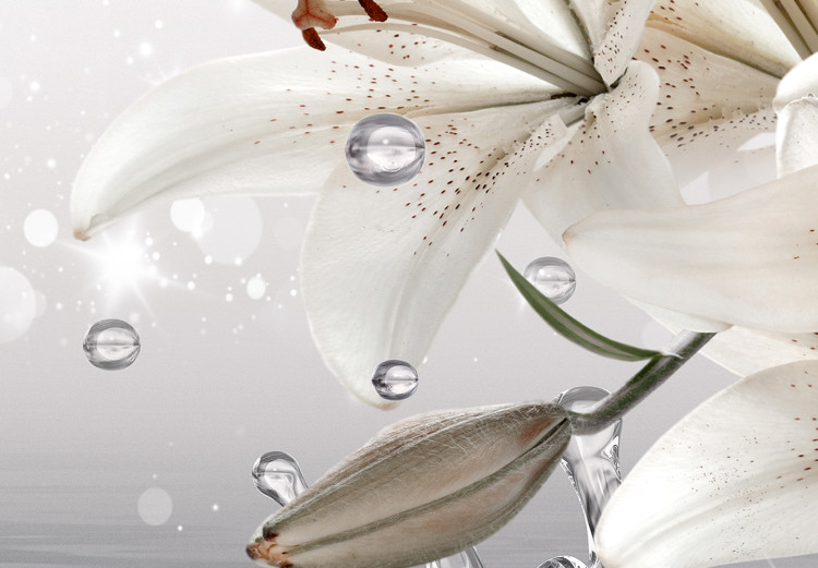 Large canvas print Lilies on a decorative cream background in water [Large Format] 150936 additionalImage 5