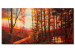 Canvas Print Sunrise over forest 49536