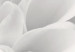 Canvas Dahlia flower in grey shades 49936 additionalThumb 5