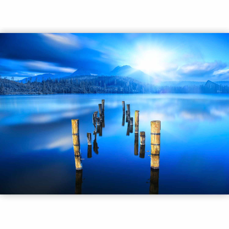 Wall Mural Moment of Solitude - landscape with a lake, forest, and mountains in the sunlight 59736 additionalImage 5