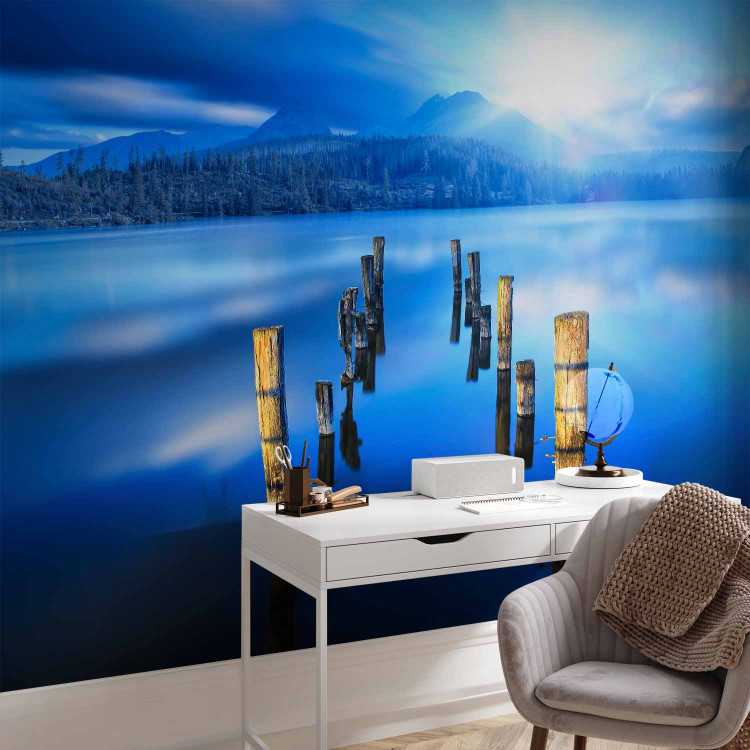 Wall Mural Moment of Solitude - landscape with a lake, forest, and mountains in the sunlight 59736 additionalImage 4