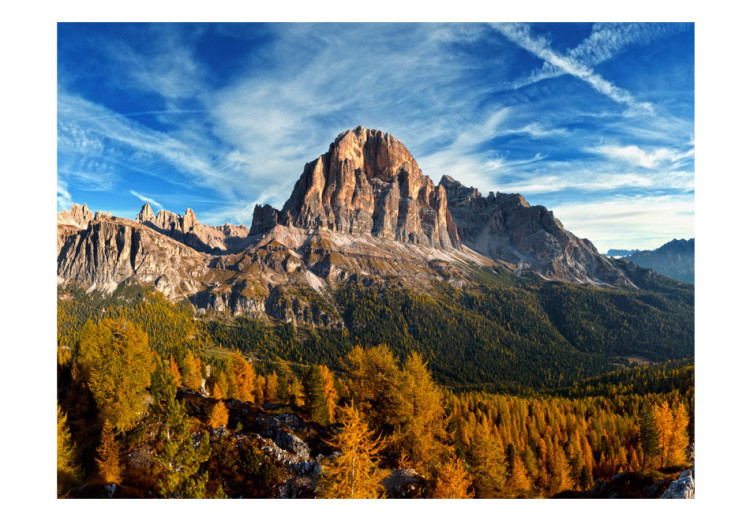 Wall Mural Dolomite Mountain - landscape with forest and sky 59936 additionalImage 1