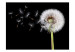 Wall Mural Wind and dandelion 60336 additionalThumb 1