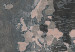 Cork Pinboard Grey World [Cork Map] 96036 additionalThumb 5