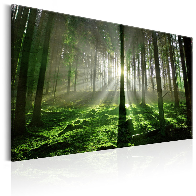 Canvas Art Print Emerald Forest II 97936 additionalImage 2