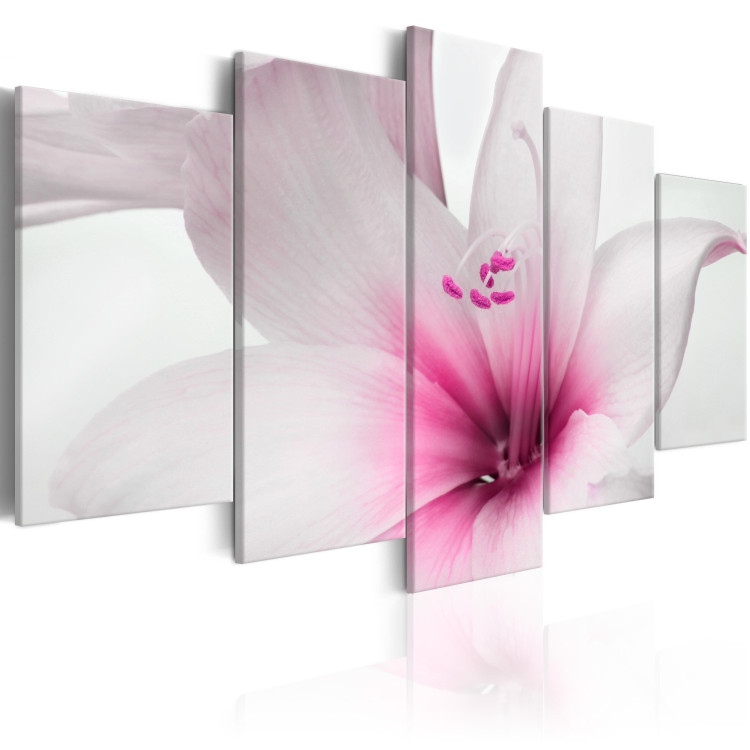 Canvas Art Print Amaryllis: Pink Charm - Romantic White Flower with Pink Element 98036 additionalImage 2