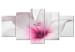 Canvas Art Print Amaryllis: Pink Charm - Romantic White Flower with Pink Element 98036