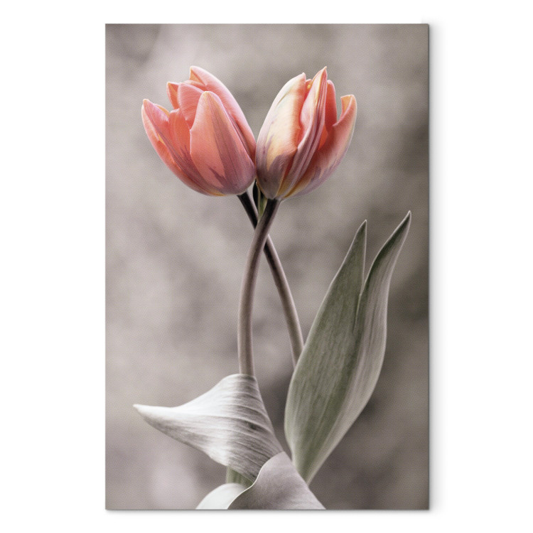 Canvas Print Spring Dance - Romantic Pink Tulip Flowers on Gray Background 98136 additionalImage 7