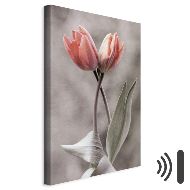 Canvas Print Spring Dance - Romantic Pink Tulip Flowers on Gray Background 98136 additionalImage 8