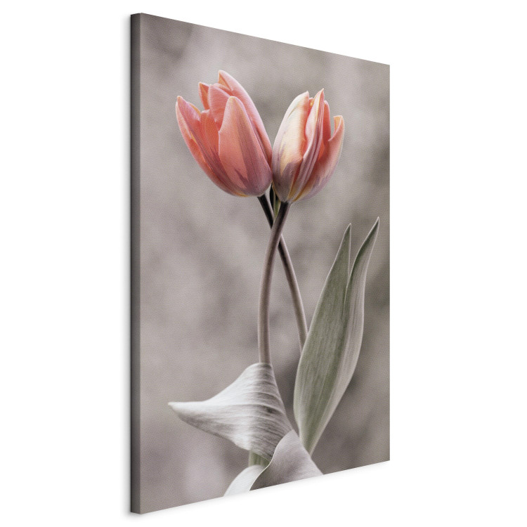 Canvas Print Spring Dance - Romantic Pink Tulip Flowers on Gray Background 98136 additionalImage 2