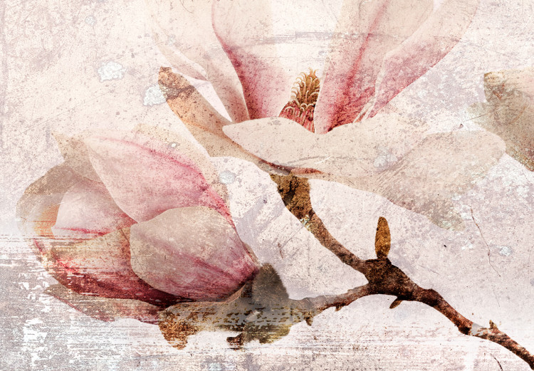 Canvas Print Magnolia Charm (1 Part) Narrow 118546 additionalImage 5