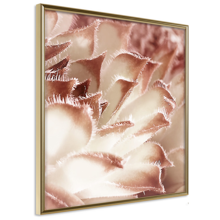 Wall Poster Gentle Touch - floral motif of flowers with a light red texture 122646 additionalImage 12