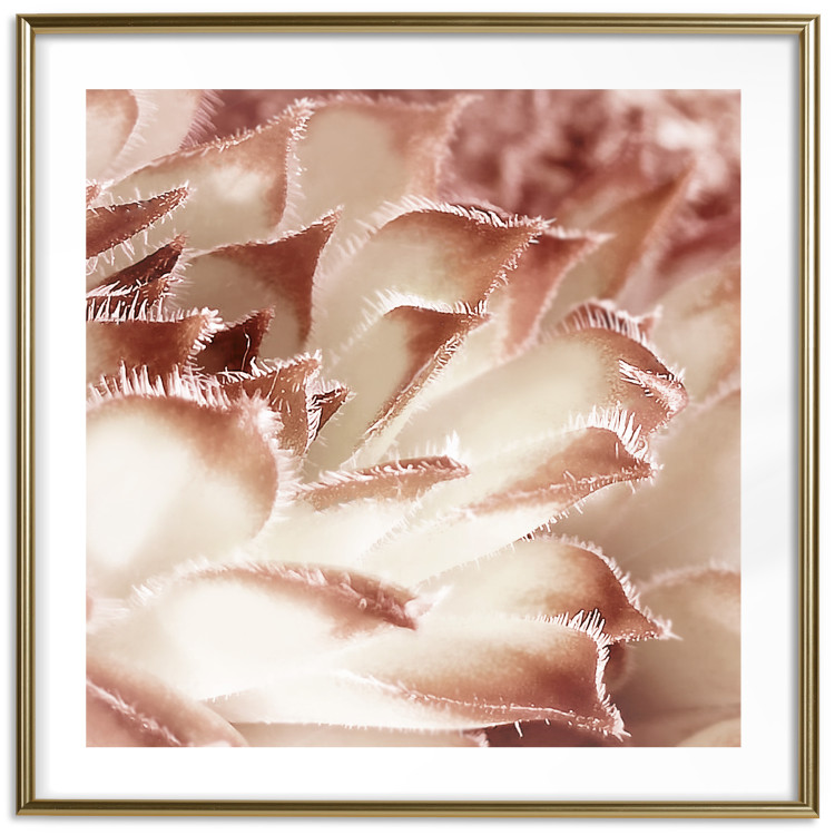 Wall Poster Gentle Touch - floral motif of flowers with a light red texture 122646 additionalImage 14