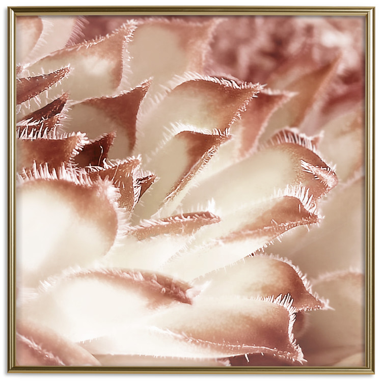 Wall Poster Gentle Touch - floral motif of flowers with a light red texture 122646 additionalImage 16