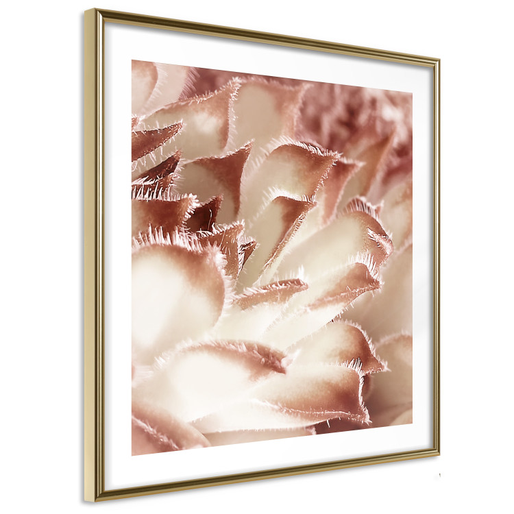 Wall Poster Gentle Touch - floral motif of flowers with a light red texture 122646 additionalImage 6