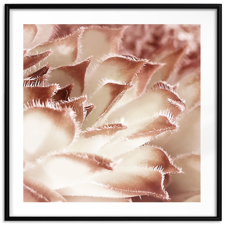 Wall Poster Gentle Touch - floral motif of flowers with a light red texture 122646 additionalImage 15
