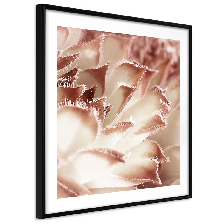 Wall Poster Gentle Touch - floral motif of flowers with a light red texture 122646 additionalImage 11
