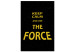 Canvas Art Print Golden English Keep calm and use the force sign - on black background 125346