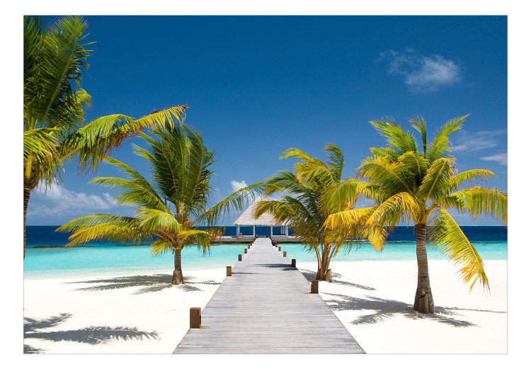 Photo Wallpaper Paradise Maldives - landscape with tropical palm trees and blue sky 126946 additionalImage 1