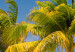 Photo Wallpaper Paradise Maldives - landscape with tropical palm trees and blue sky 126946 additionalThumb 4