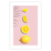 Wall Poster Slice of Exoticism - lemon in various cross-sections on a pastel background 127146 additionalThumb 25