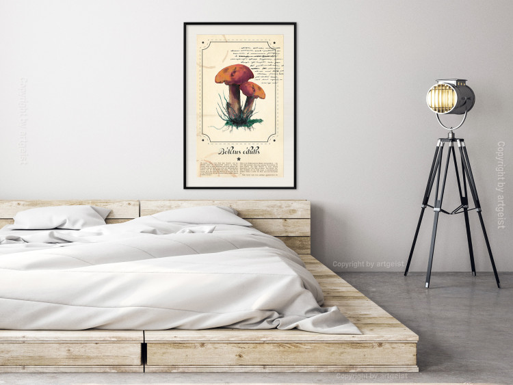 Wall Poster Mushroom Atlas - brown mushrooms on beige background amidst black text 129546 additionalImage 24