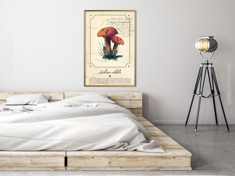 Wall Poster Mushroom Atlas - brown mushrooms on beige background amidst black text 129546 additionalImage 5