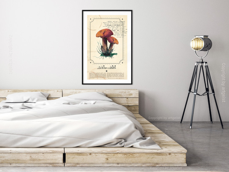 Wall Poster Mushroom Atlas - brown mushrooms on beige background amidst black text 129546 additionalImage 18