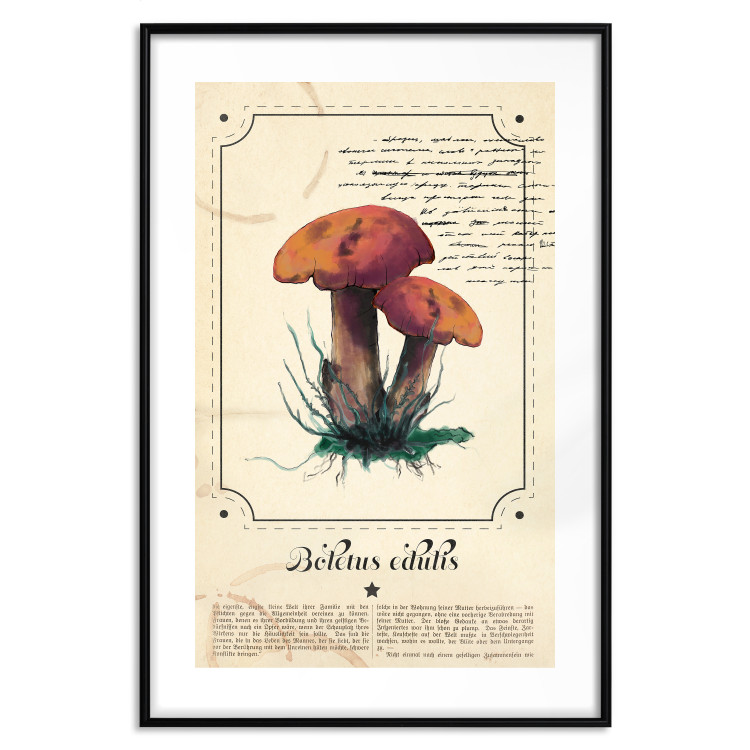 Wall Poster Mushroom Atlas - brown mushrooms on beige background amidst black text 129546 additionalImage 15