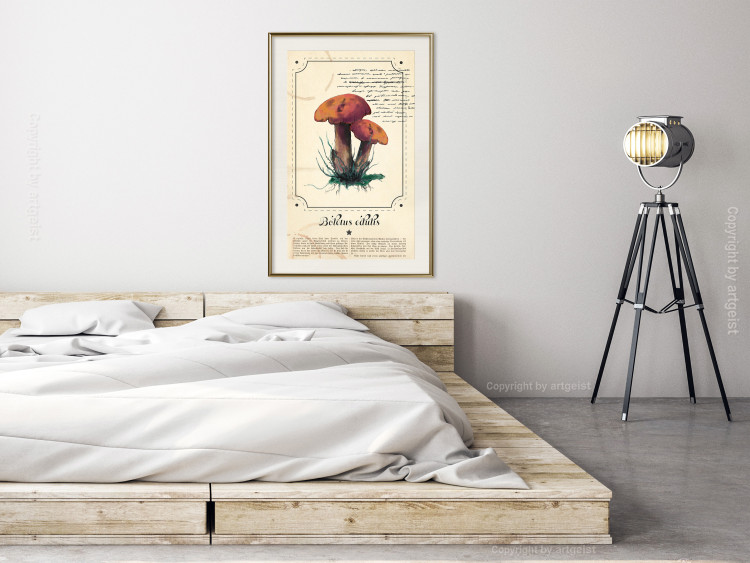 Wall Poster Mushroom Atlas - brown mushrooms on beige background amidst black text 129546 additionalImage 22