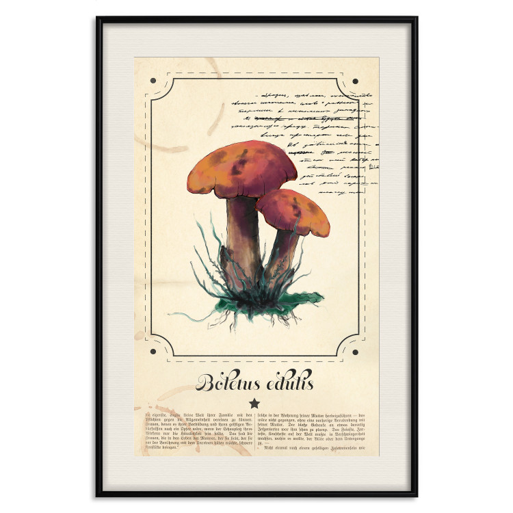 Wall Poster Mushroom Atlas - brown mushrooms on beige background amidst black text 129546 additionalImage 19