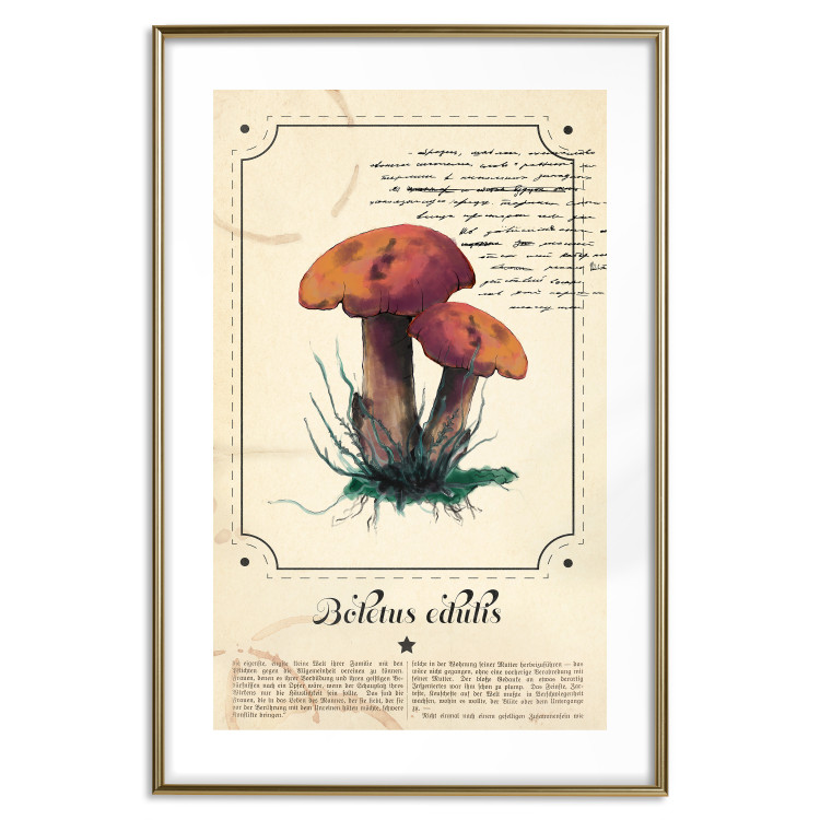 Wall Poster Mushroom Atlas - brown mushrooms on beige background amidst black text 129546 additionalImage 16