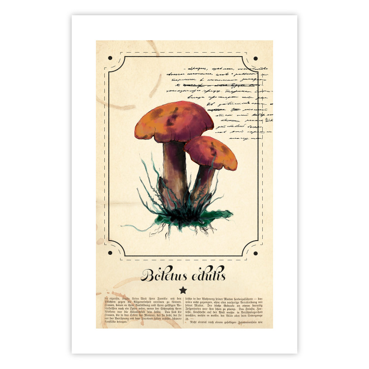 Wall Poster Mushroom Atlas - brown mushrooms on beige background amidst black text 129546 additionalImage 19